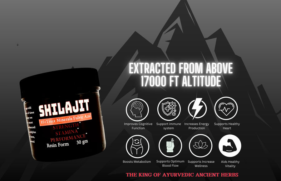 Shilajit Resin