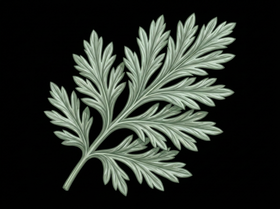 Wormwood