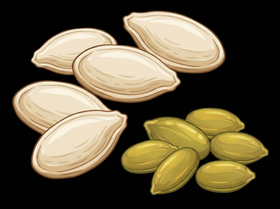 Pumpkin Seeds